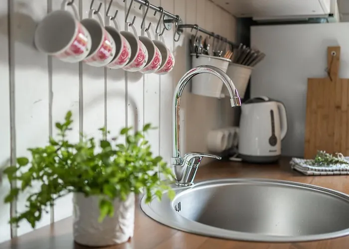 Maro With Sauna Vaana-Joesuu